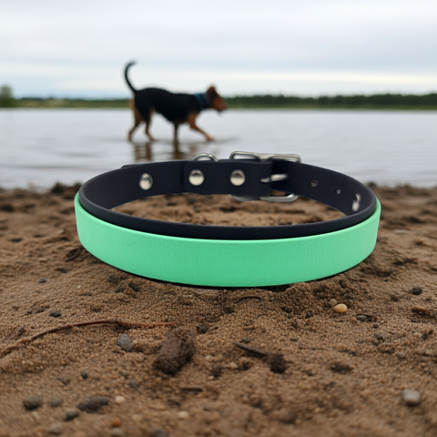 Collar & Ruff Biothane "Duet" Collars - 20mm