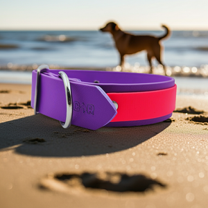Collar & Ruff Biothane "Duet" Collars - 40mm