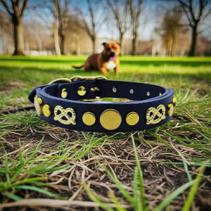 The Staffy Collar