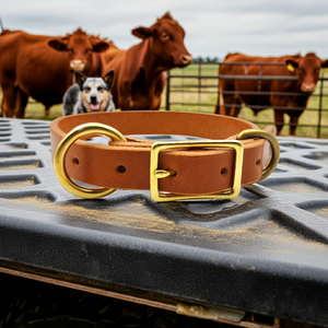 The Muster Dog Leather Collar