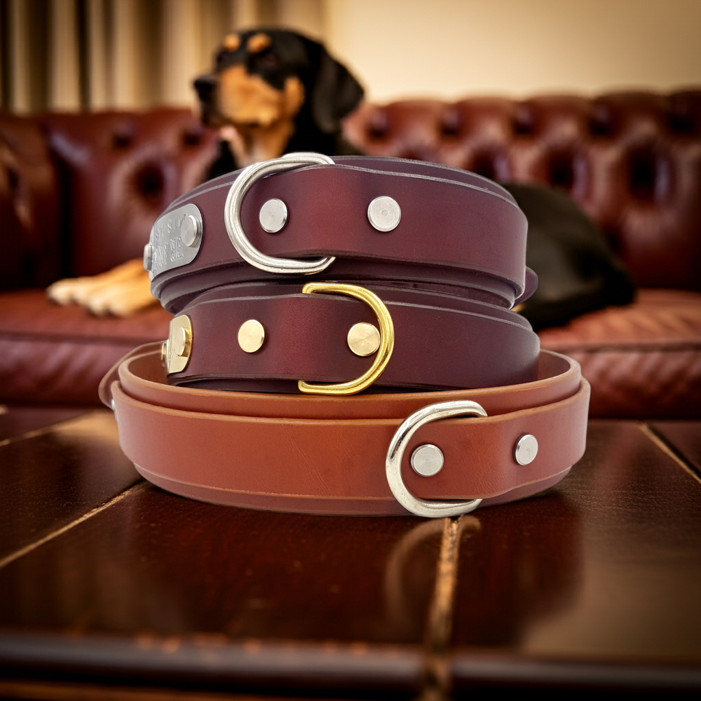 The Bolt Collar