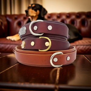 The Bolt Collar