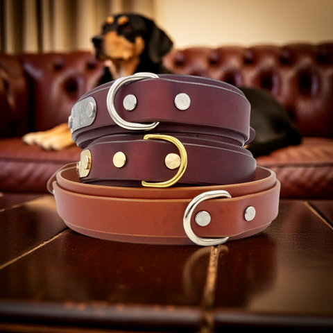The Bolt Collar