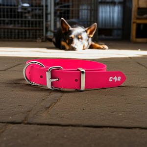 Collar & Ruff Biothane Muster Dog Collars