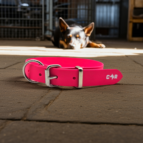 Collar & Ruff Biothane Muster Dog Collars