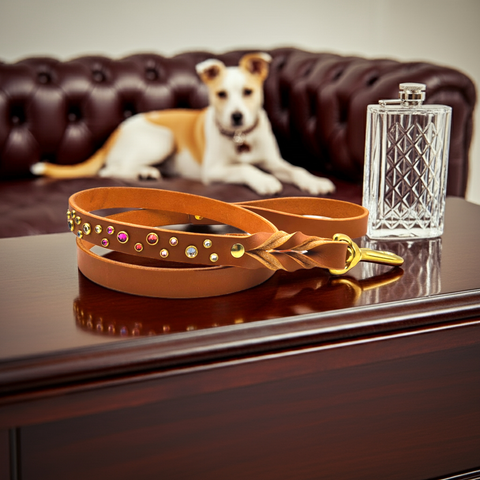 Luxury Leash