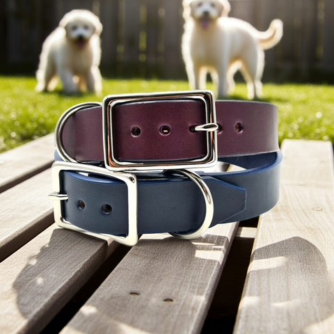 The Signature Collar - Adult Dogs