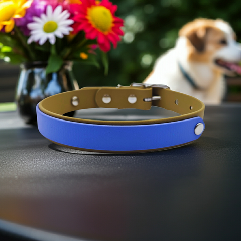 Collar & Ruff Biothane "Duet" Collars - 25mm