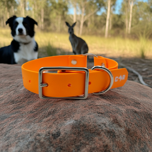 Collar & Ruff Biothane Safety Collar
