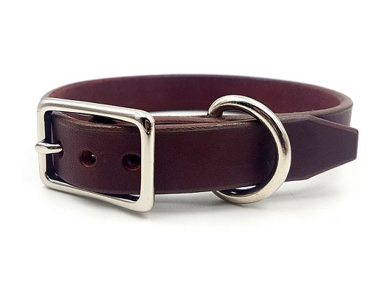 The Signature Collar - Adult Dogs