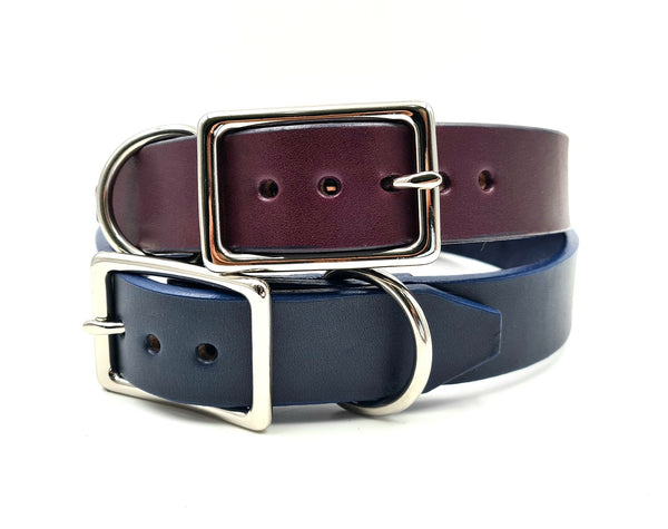 The Signature Collar - Adult Dogs